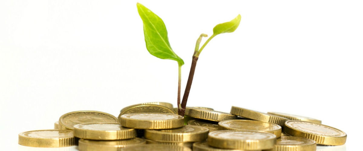 Geld waaruit een plantje groeit. Het staat symbool voor een investering