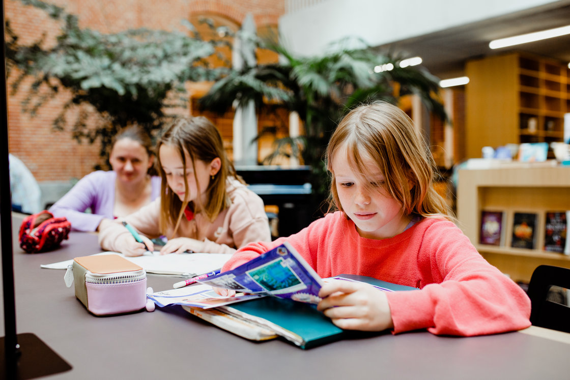 Kinderen die lezen in de bib